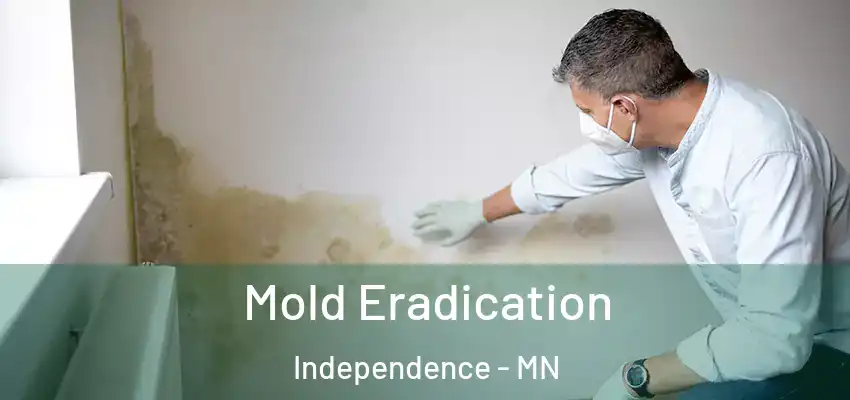  Mold Eradication Independence - MN