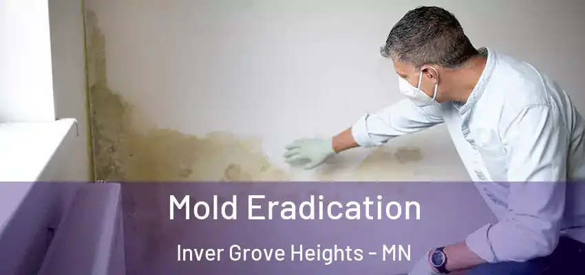  Mold Eradication Inver Grove Heights - MN