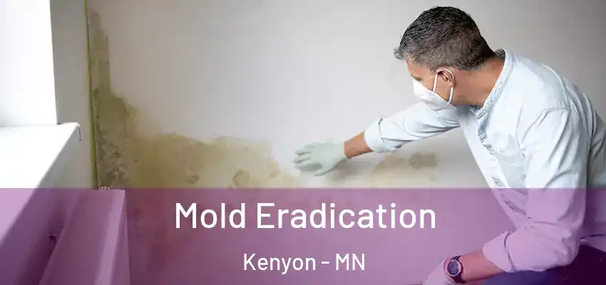  Mold Eradication Kenyon - MN
