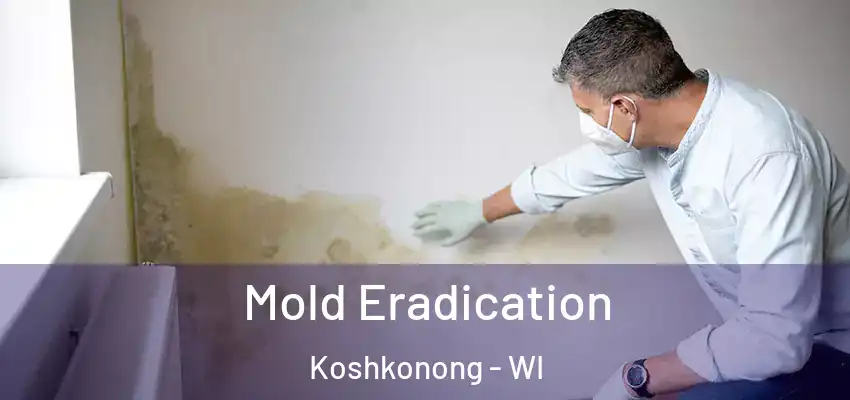  Mold Eradication Koshkonong - WI