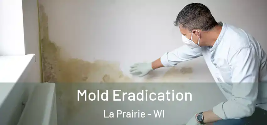  Mold Eradication La Prairie - WI