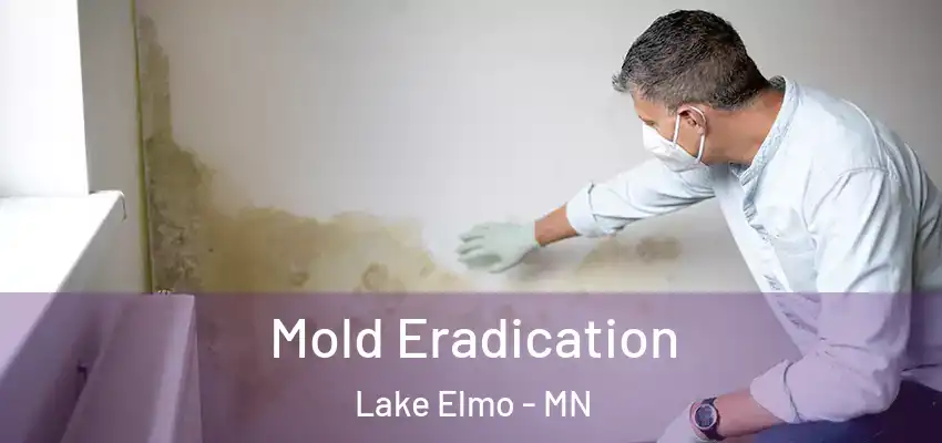 Mold Eradication Lake Elmo - MN