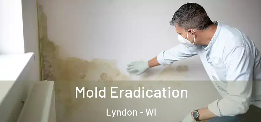  Mold Eradication Lyndon - WI