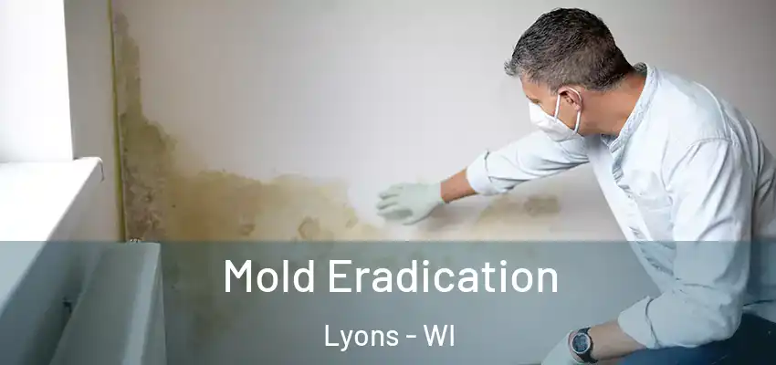  Mold Eradication Lyons - WI