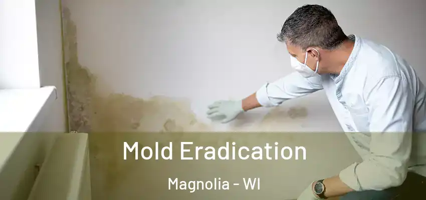 Mold Eradication Magnolia - WI
