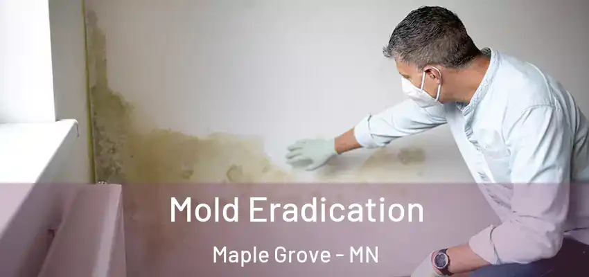  Mold Eradication Maple Grove - MN