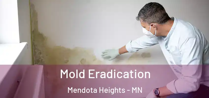  Mold Eradication Mendota Heights - MN