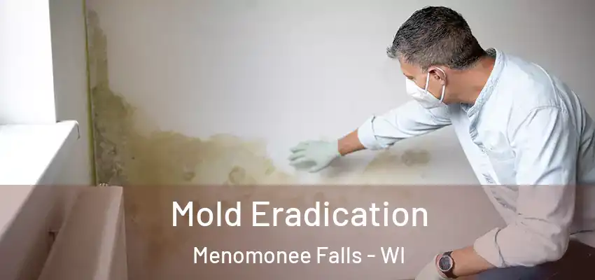Mold Eradication Menomonee Falls - WI