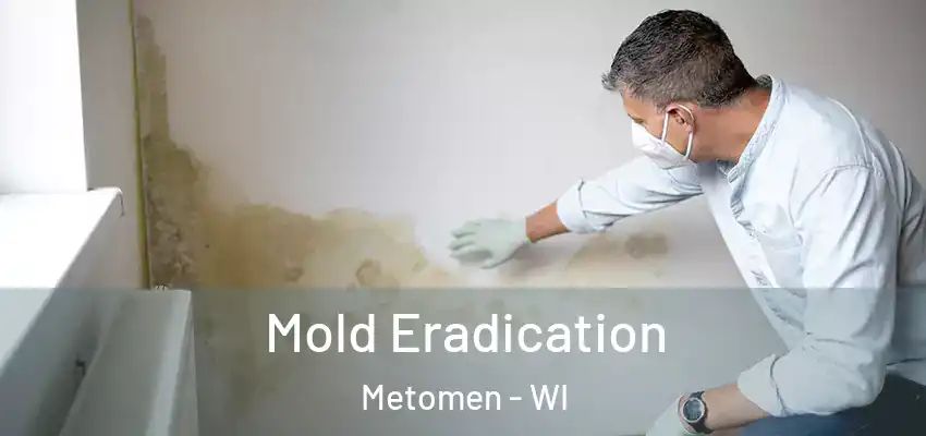  Mold Eradication Metomen - WI