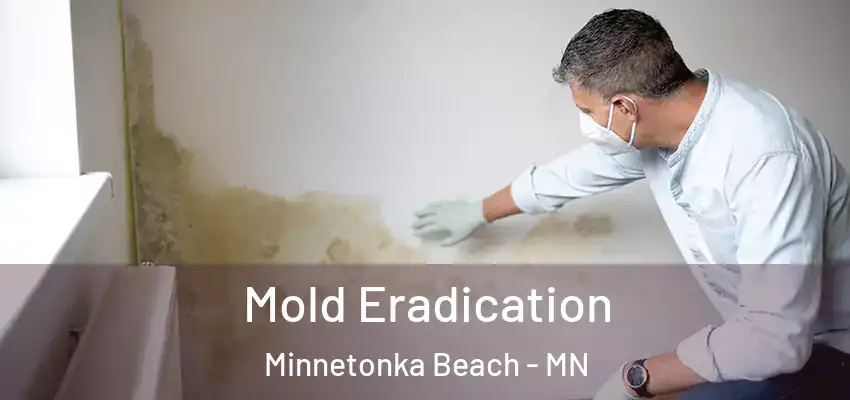  Mold Eradication Minnetonka Beach - MN
