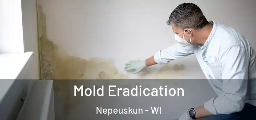  Mold Eradication Nepeuskun - WI