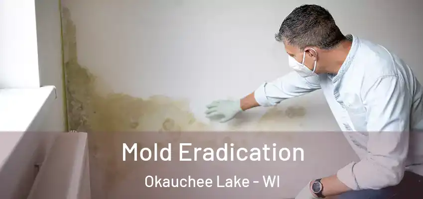  Mold Eradication Okauchee Lake - WI