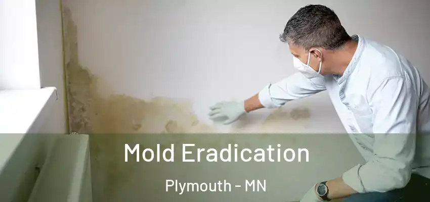  Mold Eradication Plymouth - MN