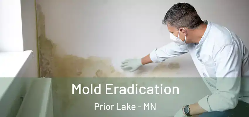 Mold Eradication Prior Lake - MN