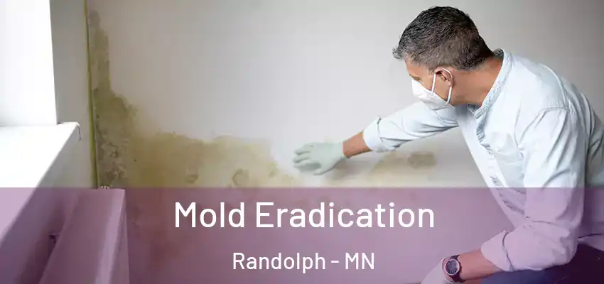  Mold Eradication Randolph - MN