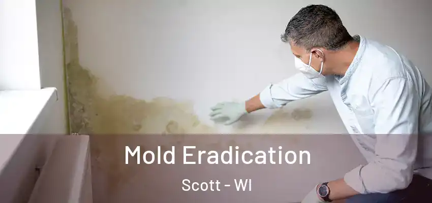  Mold Eradication Scott - WI