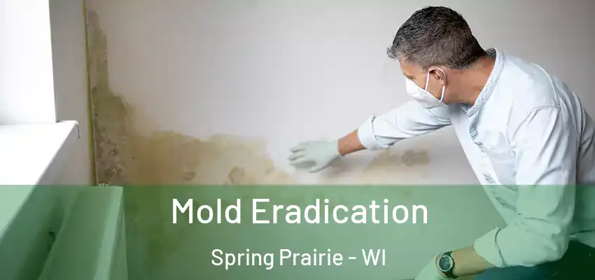 Mold Eradication Spring Prairie - WI