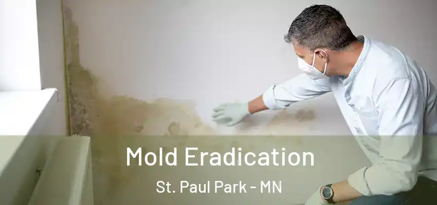  Mold Eradication St. Paul Park - MN