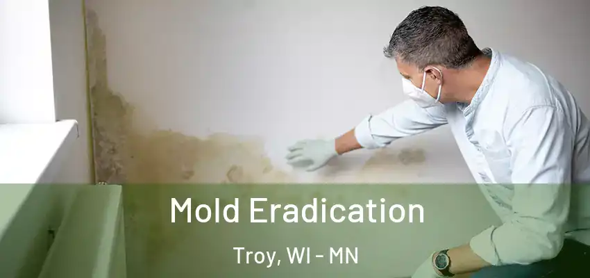 Mold Eradication Troy, WI - MN