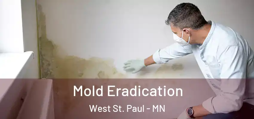  Mold Eradication West St. Paul - MN