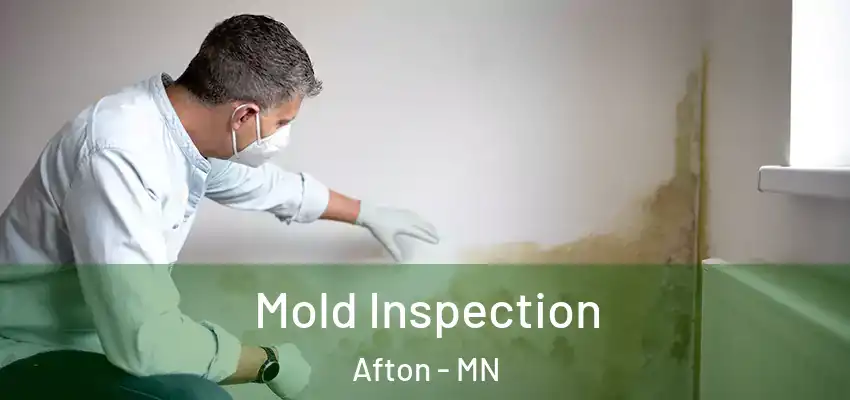  Mold Inspection Afton - MN