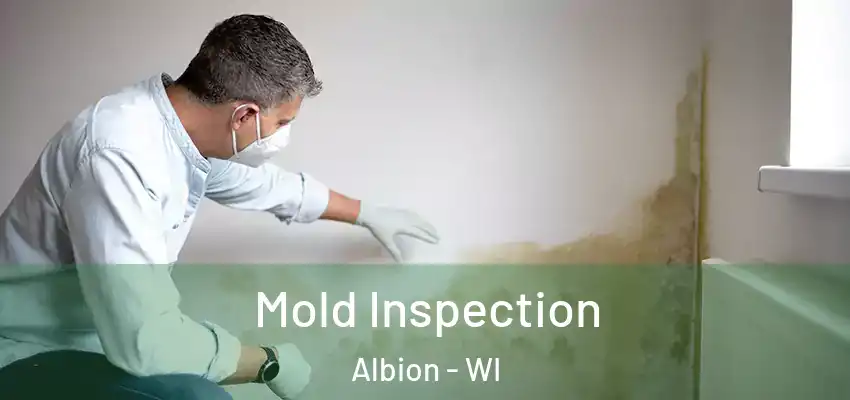  Mold Inspection Albion - WI