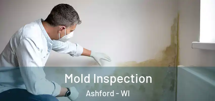 Mold Inspection Ashford - WI