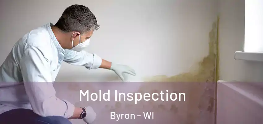 Mold Inspection Byron - WI