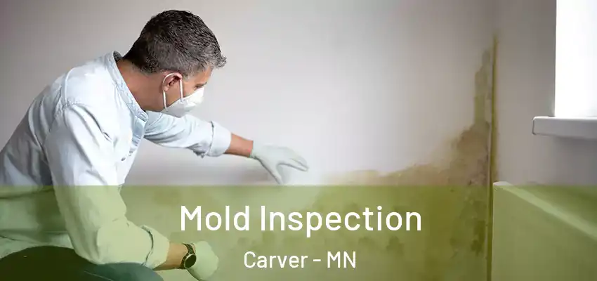  Mold Inspection Carver - MN