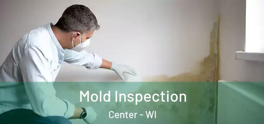  Mold Inspection Center - WI