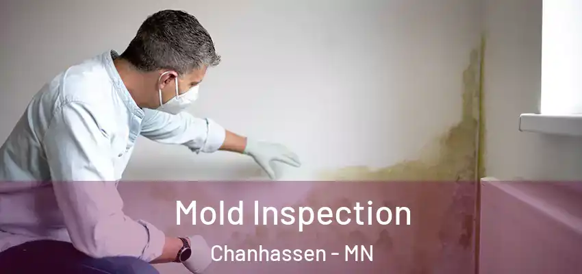  Mold Inspection Chanhassen - MN