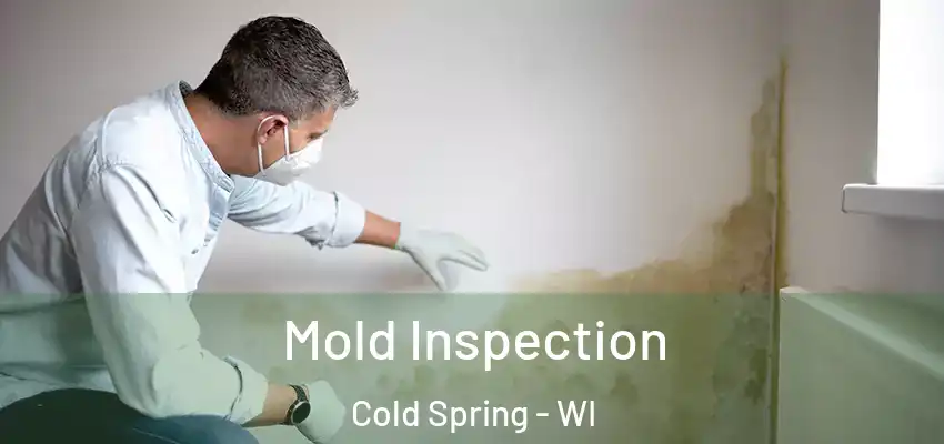 Mold Inspection Cold Spring - WI