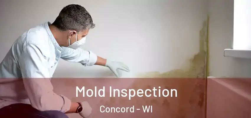  Mold Inspection Concord - WI