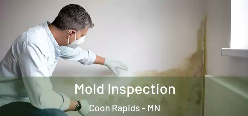  Mold Inspection Coon Rapids - MN