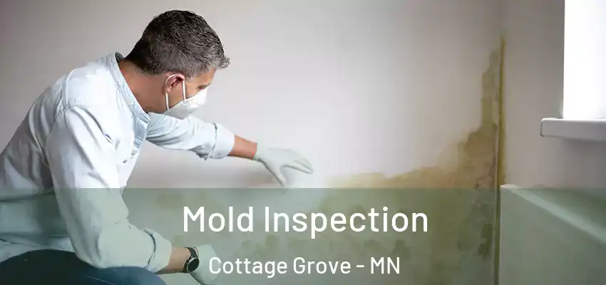 Mold Inspection Cottage Grove - MN