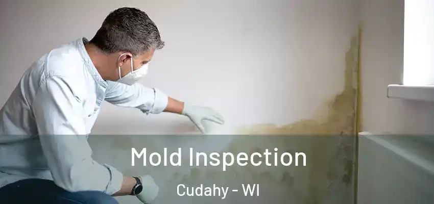 Mold Inspection Cudahy - WI