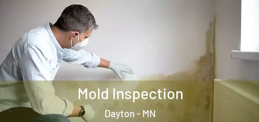  Mold Inspection Dayton - MN