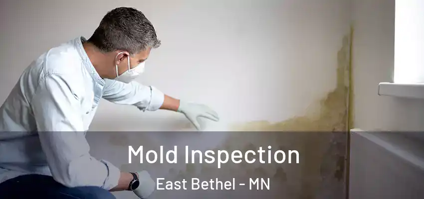  Mold Inspection East Bethel - MN