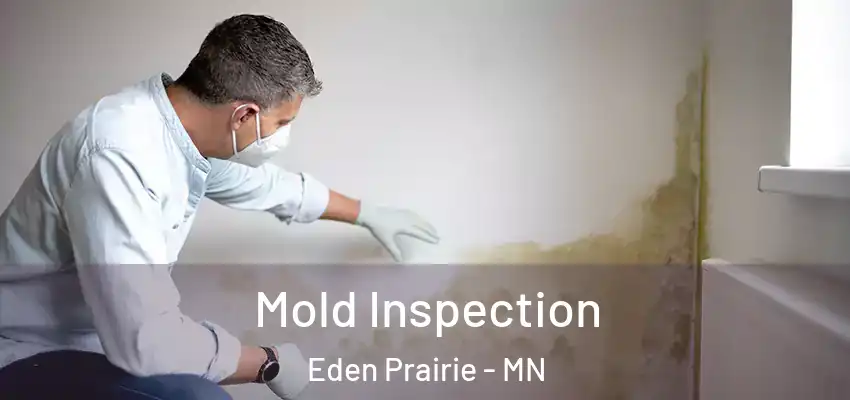 Mold Inspection Eden Prairie - MN