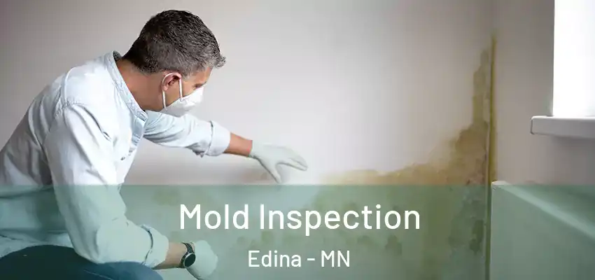  Mold Inspection Edina - MN