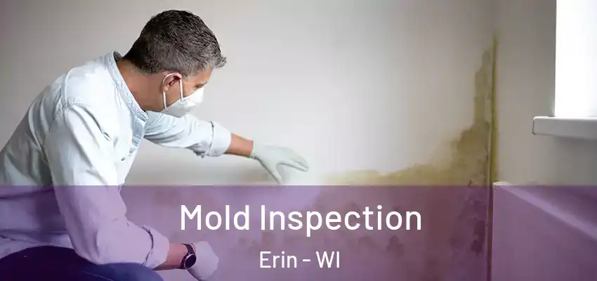  Mold Inspection Erin - WI