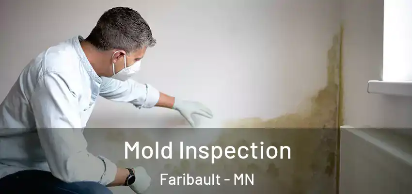 Mold Inspection Faribault - MN
