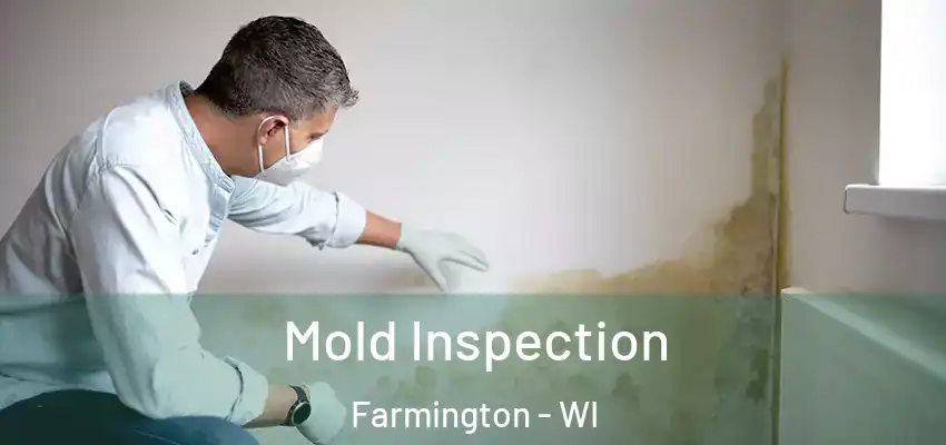  Mold Inspection Farmington - WI