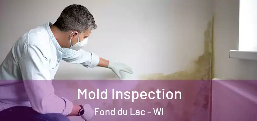  Mold Inspection Fond du Lac - WI