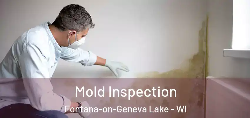  Mold Inspection Fontana-on-Geneva Lake - WI