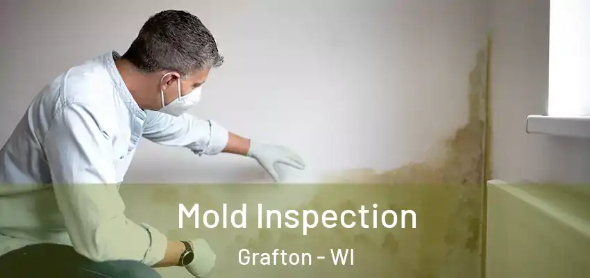 Mold Inspection Grafton - WI