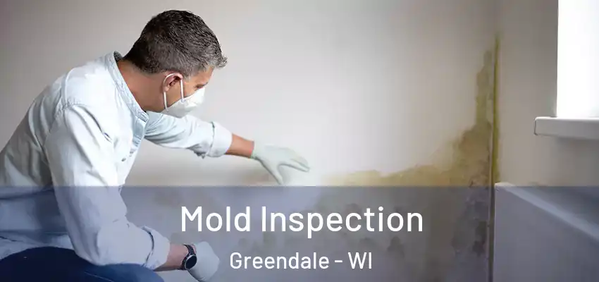 Mold Inspection Greendale - WI