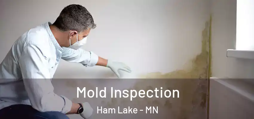  Mold Inspection Ham Lake - MN