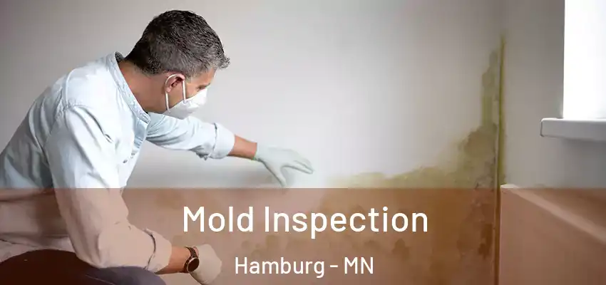  Mold Inspection Hamburg - MN