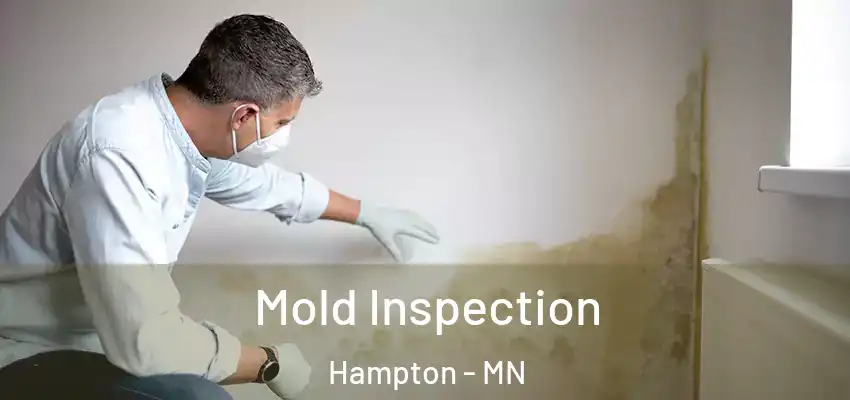  Mold Inspection Hampton - MN